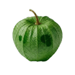 Tomatillo con Cáscara
